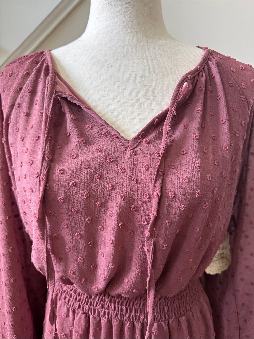 Altar'd State Dusty Rose Swiss Dot Long Sleeve Tie Neck Dress - Picture 3 of 8